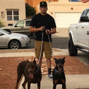 Meet your Posher, Michael